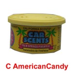 California Car Scents Lufterfrischer Palm Springs Pineapple